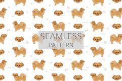 Tibetan Spaniel clipart Product Image 6
