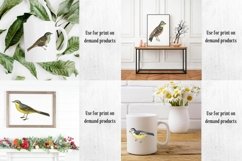 Vintage Birds, Antique Birds Clipart Product Image 5