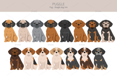 Puggle Pug Beagle mix Product Image 3