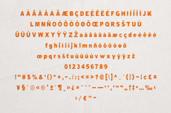 Minerva Bold Organic Sans Serif Font Product Image 5