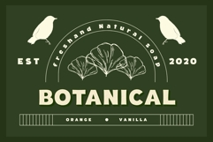 Fox Potion : 4 Font Styles Product Image 5