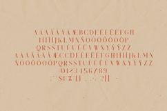 Kindel Display Serif Font Elegant Modern Editorial Typeface Product Image 5