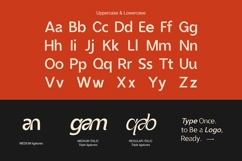 Vexane Editoral Logo fonts Product Image 5