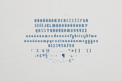 Fika Elegant Decorative Display Serif Font Product Image 5