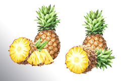 Tropical Pineapple Product Image 6
