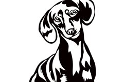 Dachsund dog/Dog Svg/Png/Jpg/Ai/Vector purebred breed/Pet Product Image 6