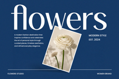 Noctifa Modern Luxury Sans Font Product Image 5