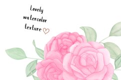 Watercolor pions wedding flowers clipart Product Image 2