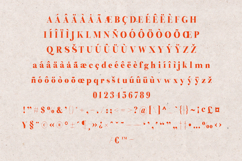 Preta Organic Serif Font Product Image 5