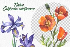 Watercolor California wildflowers Product Image 5
