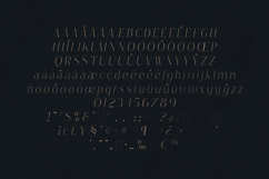 Boketto Delicate Elegant Luxury Serif Font Product Image 5