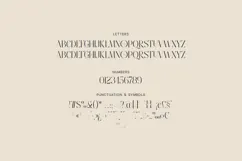 Stonebury Sculpted Display Serif Font Product Image 5