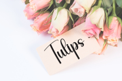 Bigmatch Product Image 5