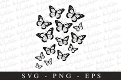Buterfly SVG | SVG Cut files | Cricut Product Image 1