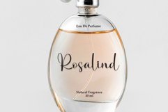 Santa Product Image 5