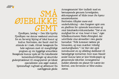 Golden Goose Italic Infused Serif Product Image 5