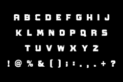 Vintage Speedy Product Image 6