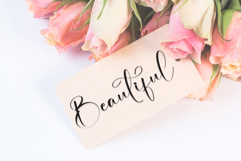 Lettering Sunflower Product Image 5