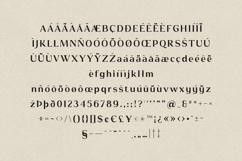 Signa Elegant Serif Modern Editorial Typeface Product Image 5