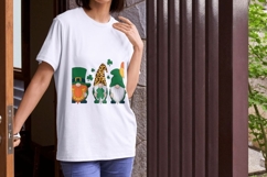St. Patrick’s Day Sublimation PNG Bundle 15 Designs Product Image 5