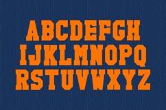 Support System Product Image 5