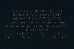 Rowan Elegant Modern Serif Font Product Image 5