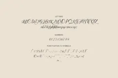 Lovel Refined Romantic Script Font Product Image 5