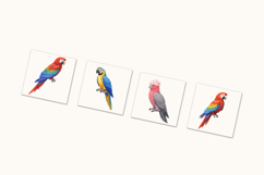 Colorful Parrots Clipart Bundle 20 Product Image 5