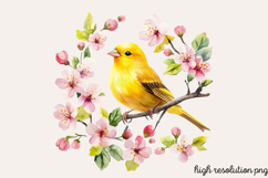 Soft Spring Clipart PNG Product Image 1