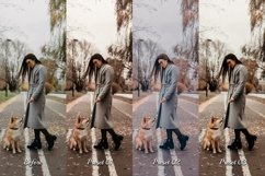 16 Autumn Aura Video LUTs Product Image 5