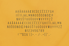 Sunflower Warm Minimal Display Sans Serif Font Product Image 5