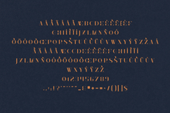 Mallie Elegant Modern Serif Display Font Product Image 5