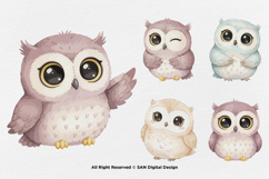 15 Bundle Watercolor Cute Owl Bird Animal Flying Smart Kids Product Image 5