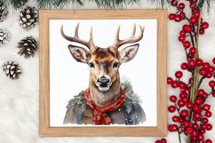 Watercolor Christmas Deer Sublimation Bundle, Christmas Deer Product Image 4