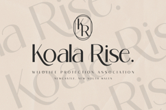 Ragion | Sans Serif Font Product Image 5
