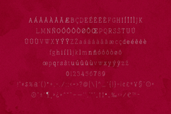 Lonely Moon Elegant Serif Font Product Image 5