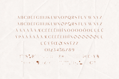 Mickle Elegant Serif Font Product Image 5