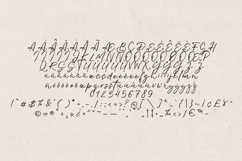 Marbella Elegant Handwritten Script Font Product Image 5