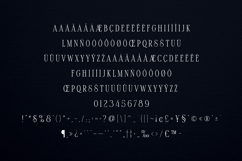 Maturation Lines Modern Classic Serif Typeface Product Image 5