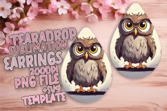 Owl Theme Teardrop Earrings Product Image 1