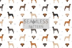 Sloughi clipart Product Image 6