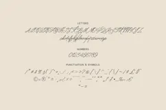Doven Romantic Signature Script Font Product Image 5