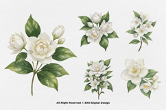 15 Bundle Watercolor Jasmine Flower Decoration Wedding Product Image 5