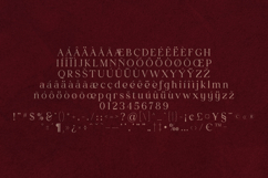 Creators Type Wavy Serif Font Product Image 5