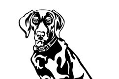 Weimaraner dog/Dog Svg/Png/Jpg/Ai/Vector purebred breed/Pet Product Image 6