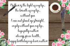 Silvagia Product Image 5