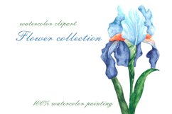 Flowers watercolor clipart. Flower collection. Blooming. Product Image 5