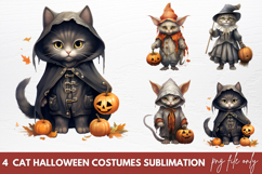 Cat Halloween Costumes clipart Designs Product Image 1