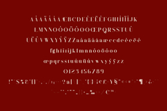 Quillin Elegant Luxury Serif Font Product Image 5