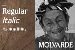 Merchad Serif Display Product Image 5